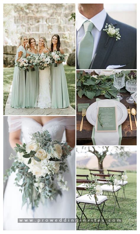 Sage Green Weddings: A Stunning Color Trend .